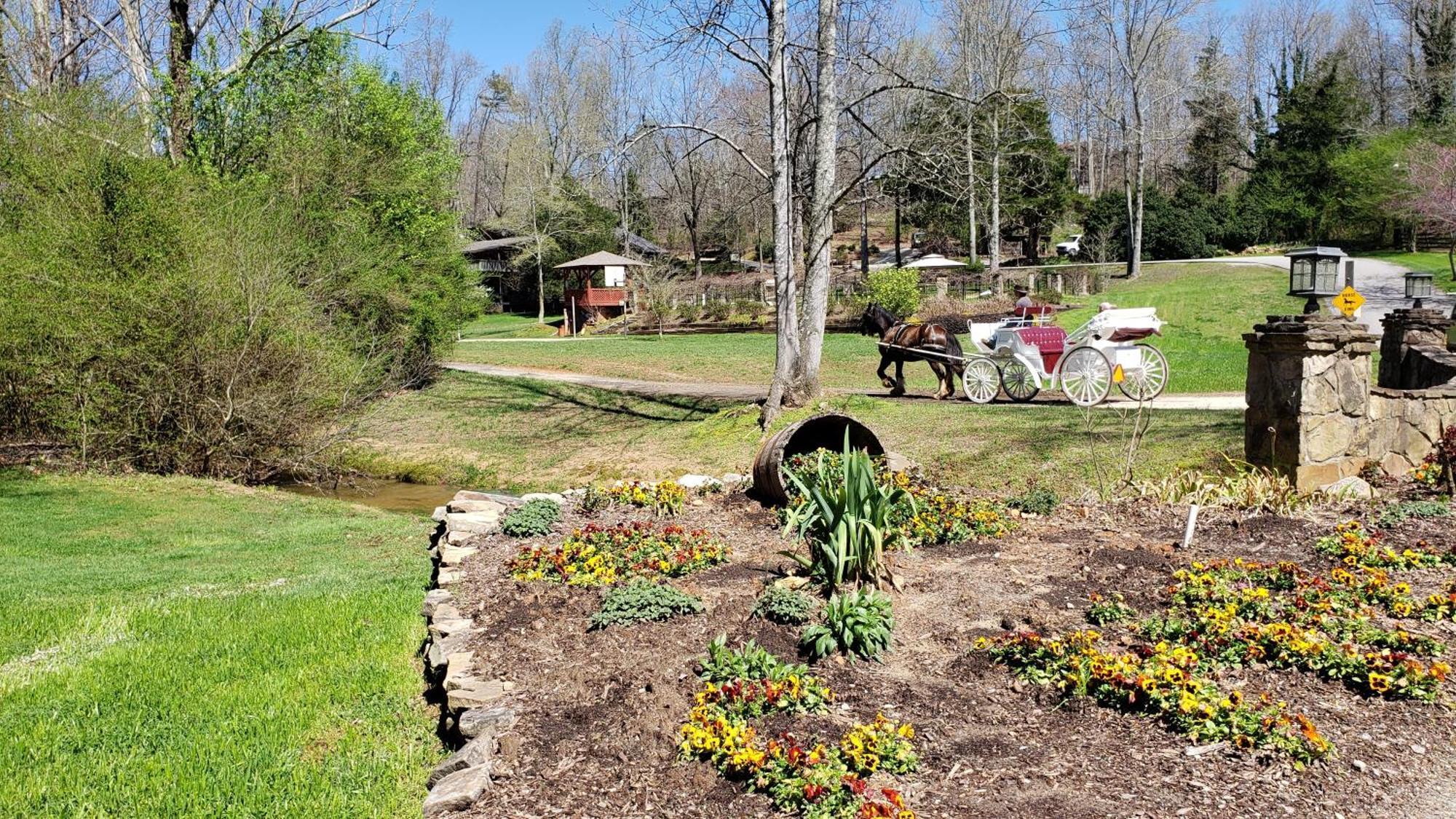 Forrest Hills Mountain Resort Dahlonega Εξωτερικό φωτογραφία