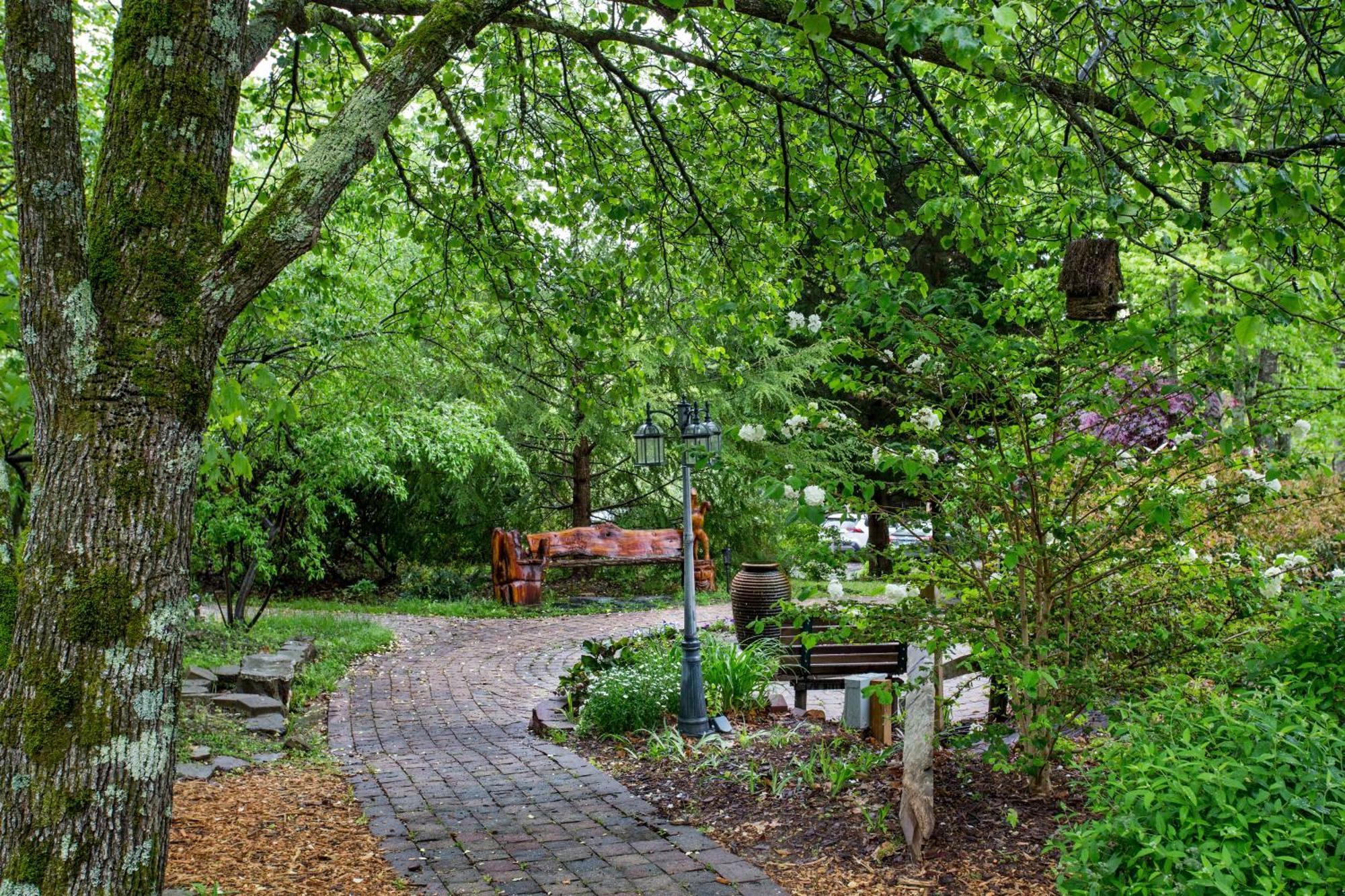 Forrest Hills Mountain Resort Dahlonega Εξωτερικό φωτογραφία