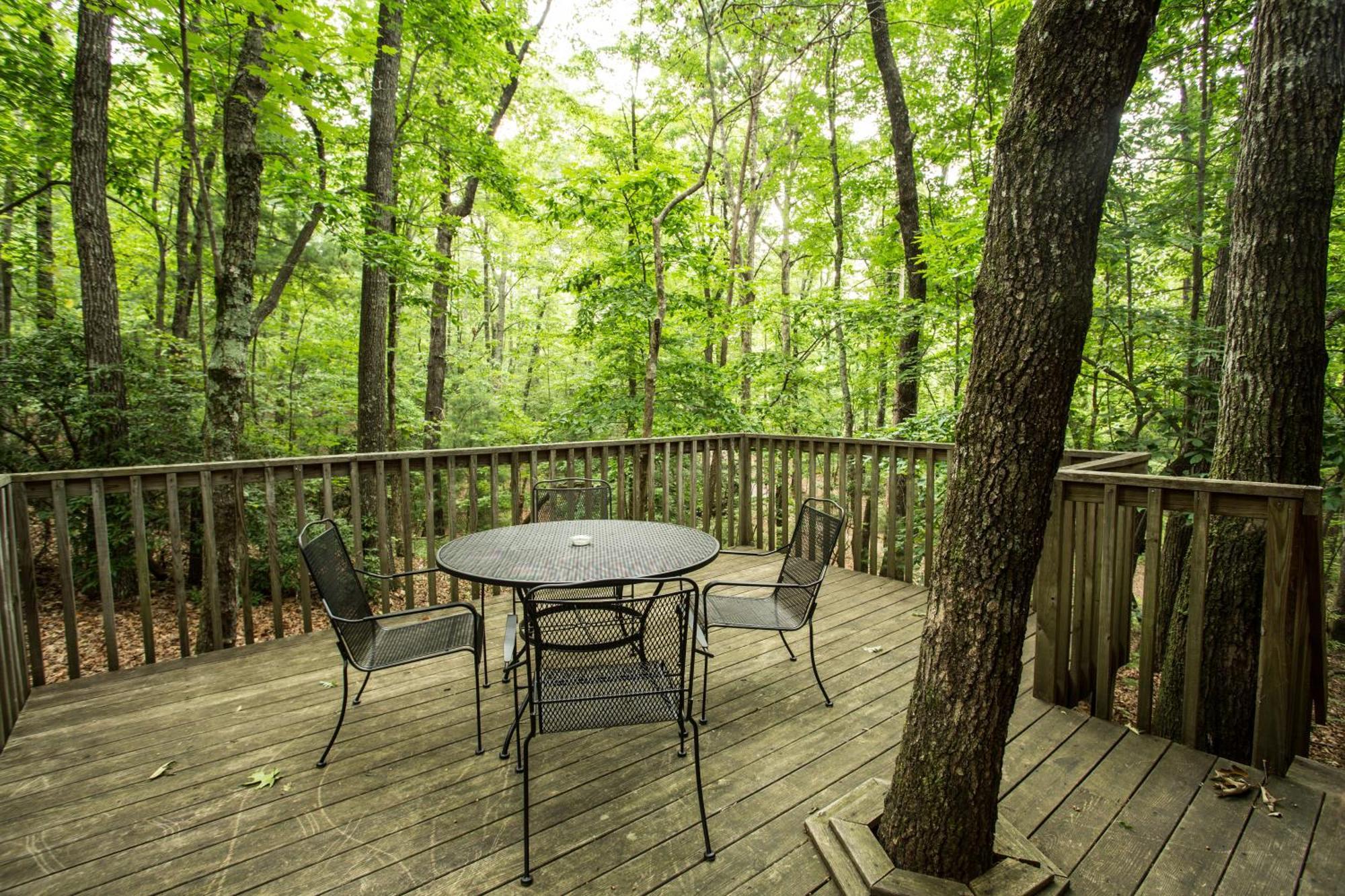 Forrest Hills Mountain Resort Dahlonega Δωμάτιο φωτογραφία