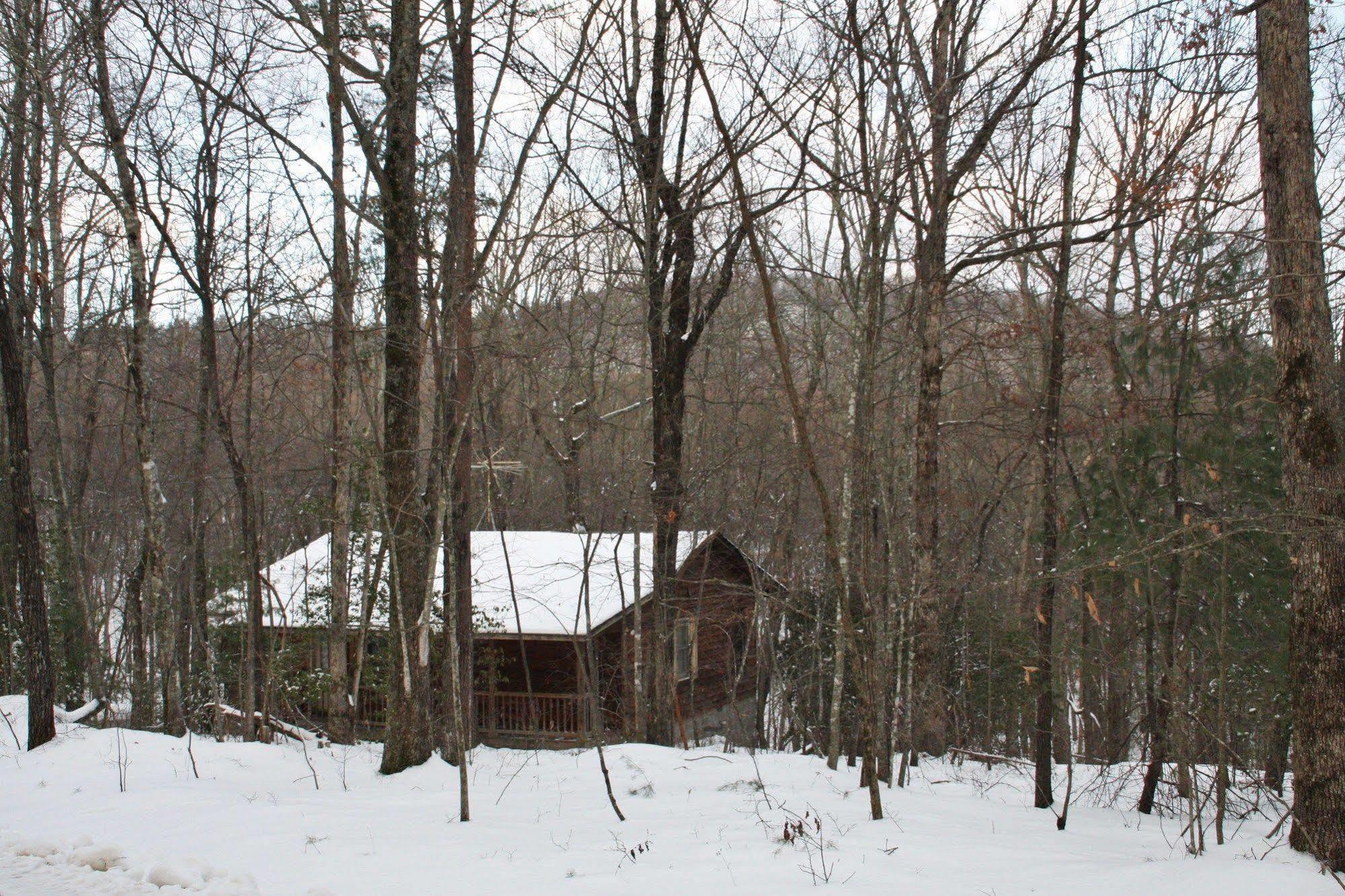 Forrest Hills Mountain Resort Dahlonega Εξωτερικό φωτογραφία