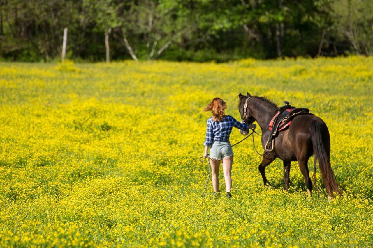 Forrest Hills Mountain Resort Dahlonega Εξωτερικό φωτογραφία