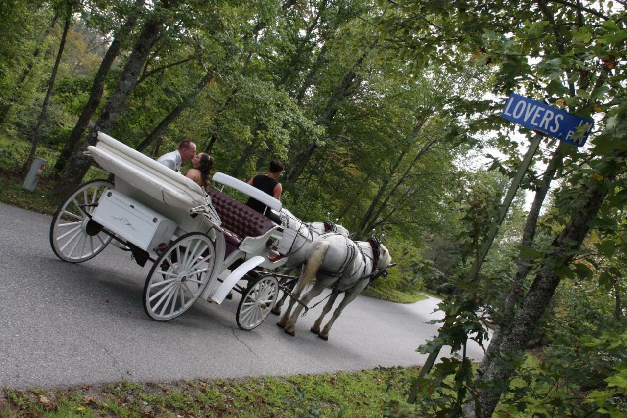 Forrest Hills Mountain Resort Dahlonega Εξωτερικό φωτογραφία